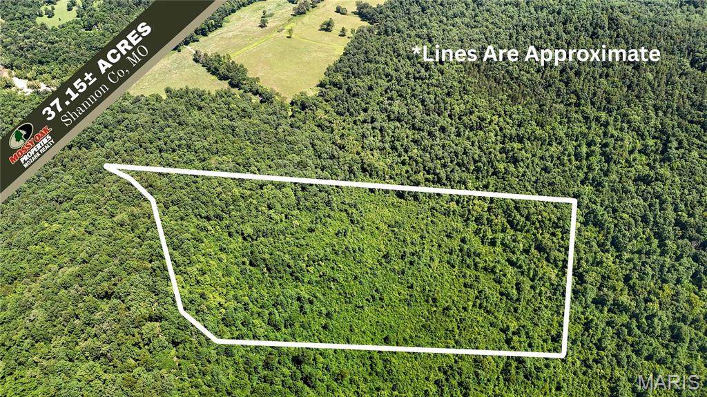TBD Antler Ridge Subdivision - Photo 1