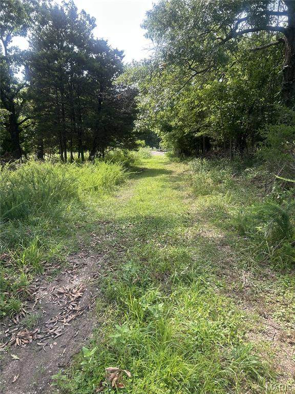 12.56 Acres Us Survey 2991 - Photo 1