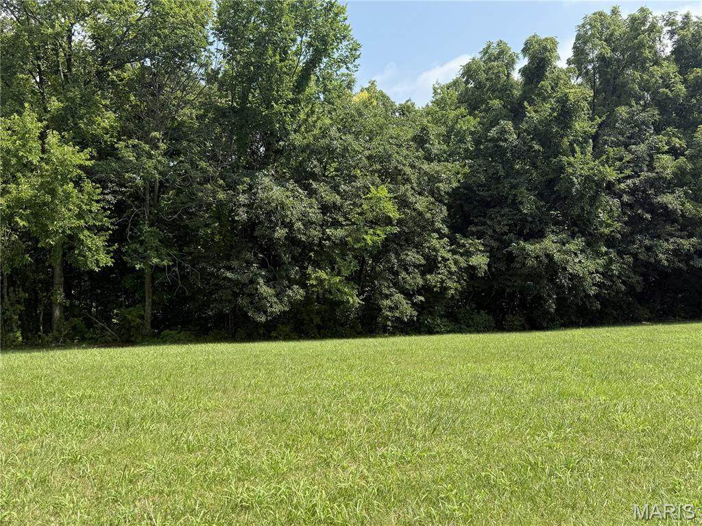 119 Coyote Crest Lane - Photo 1