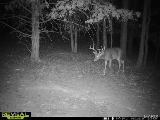 000 Brainerd Ln - Photo 1