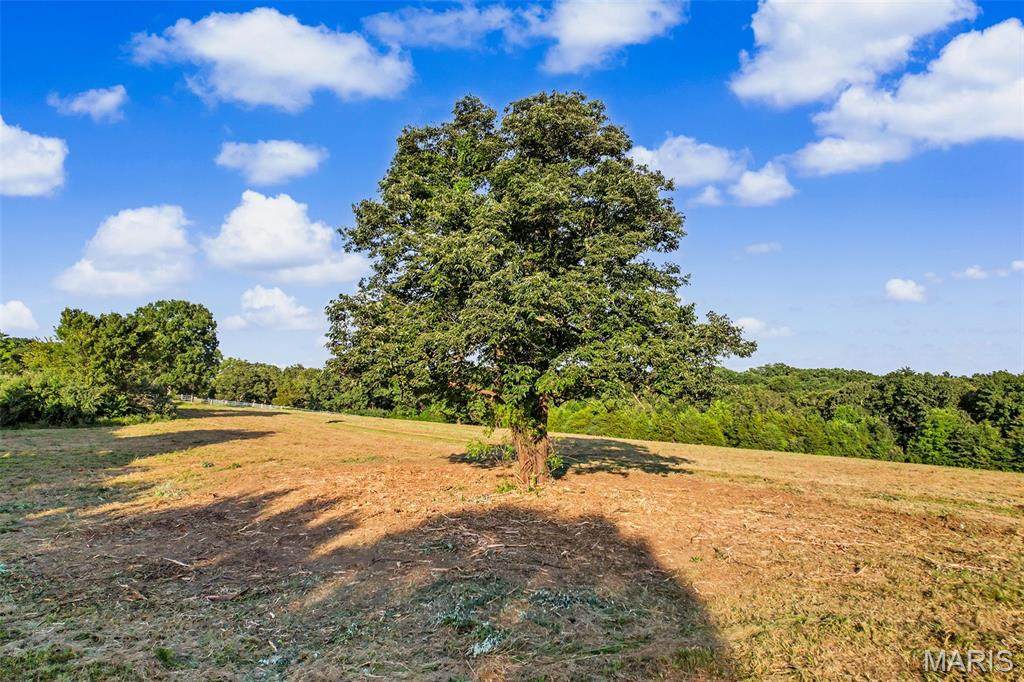 12621 Hyfield Road - Photo 1