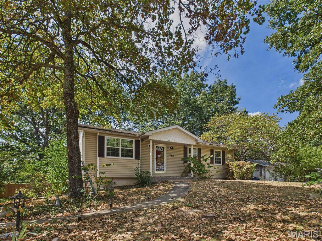 15675 Talon Lane - Photo 1