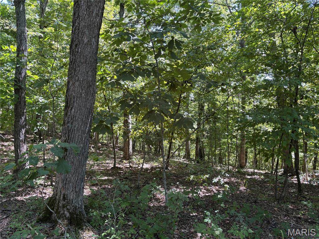 5.49 Acres T Warren - Photo 1