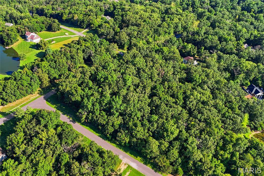 6203 Woodland Trail - Photo 1