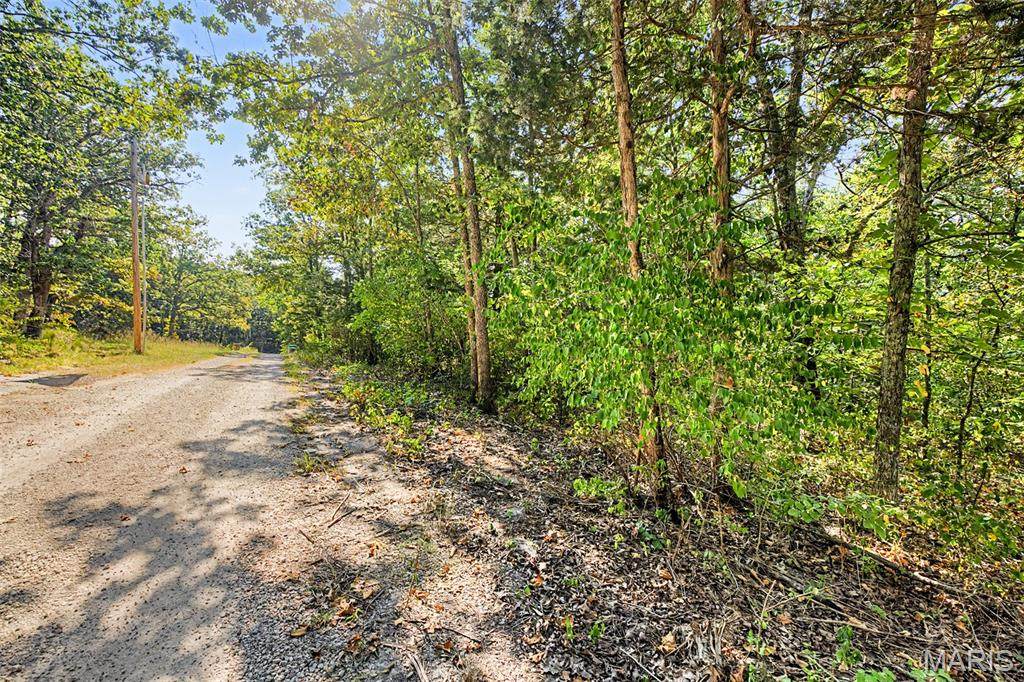 Lot 51 Elm Drive - Photo 1