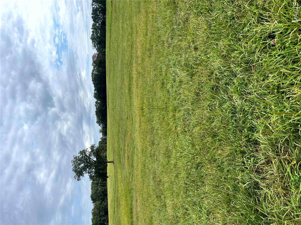 19.87 Acres On Highway C - Photo 1
