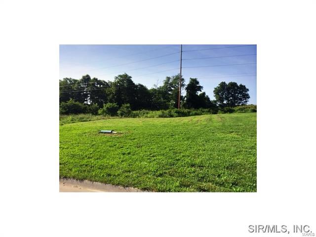 520 Bluff Meadows Drive - Photo 1