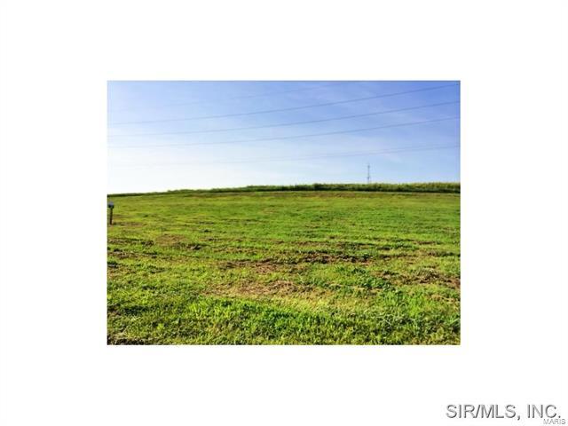 428 Bluff Meadows Drive - Photo 1