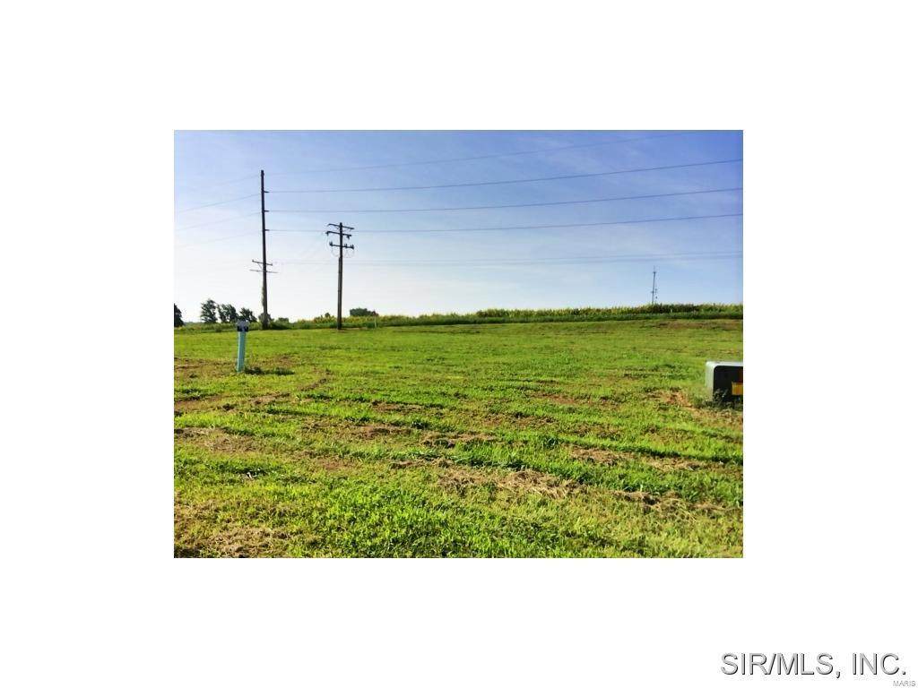 432 Bluff Meadows Drive - Photo 1