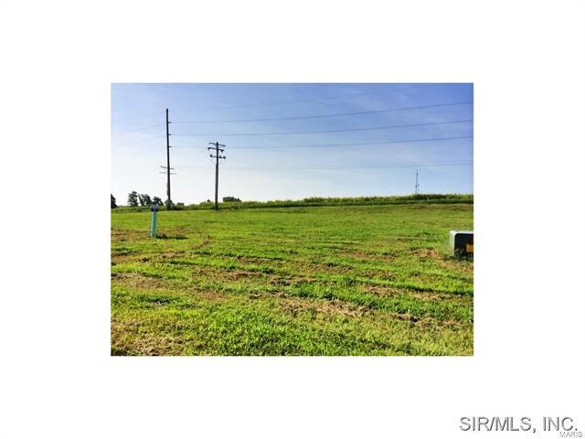 432 Bluff Meadows Drive - Photo 1