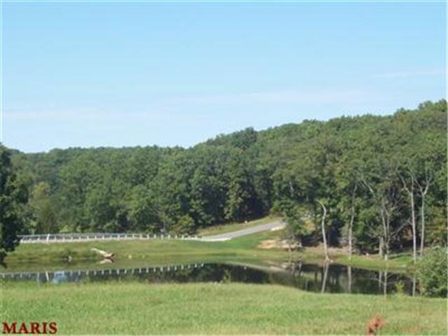 0 Lot 20 The Timbers - Photo 1