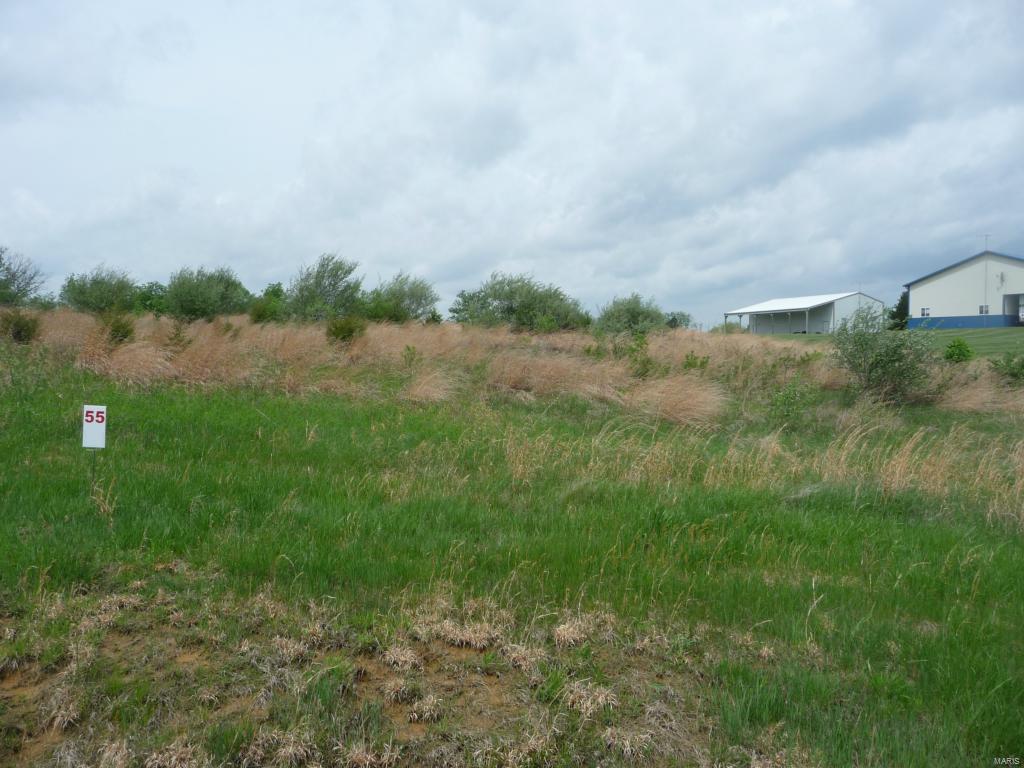 55 Lick Creek Estates - Photo 1