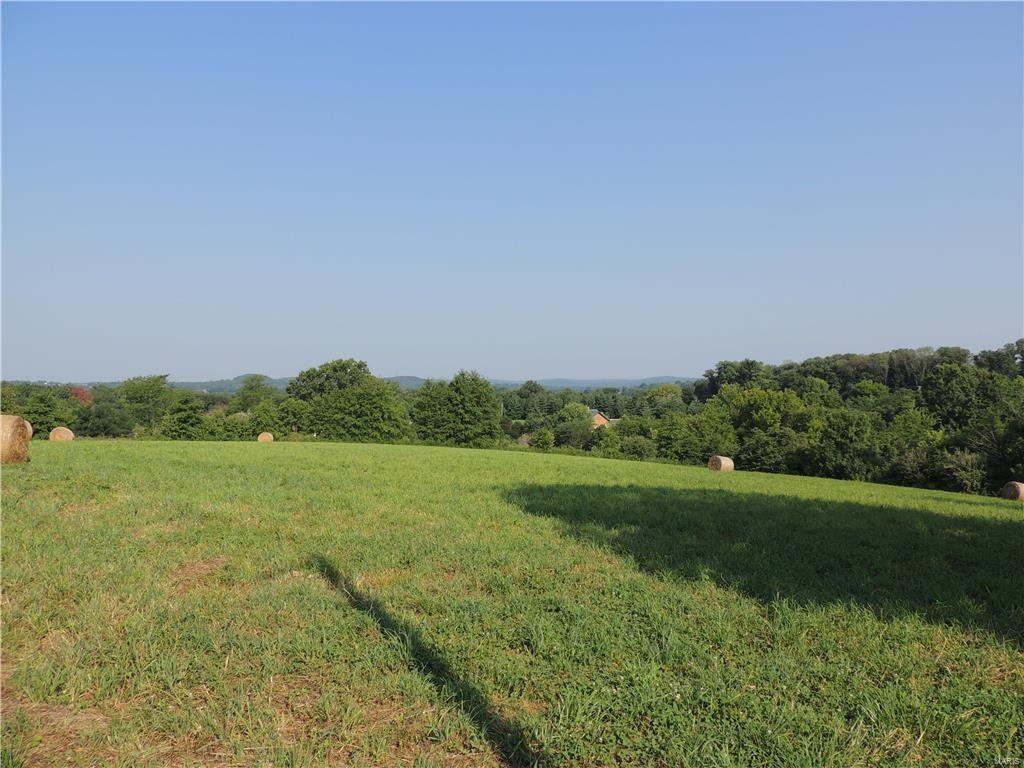 17001 D. L. Bunge Lane - Photo 1