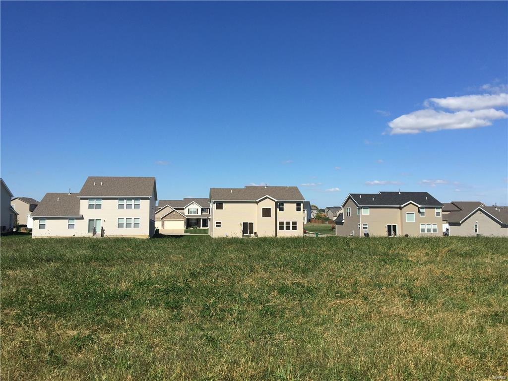 920 Chesapeake Junction Lane - Photo 1