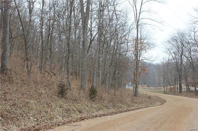 523 Meadowbrook Valley Drive - Photo 1