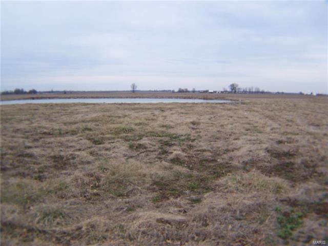 631 Hailie Street - Photo 1