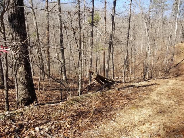 0 Off Co Rd 426 - Photo 1