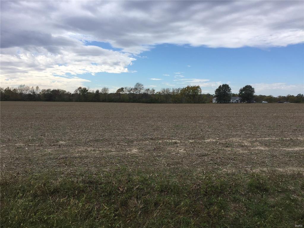 1161 Mount Gilead Road - Photo 1