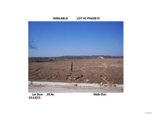 142 Vista Vallarta-Lot 62 Drive - Photo 1