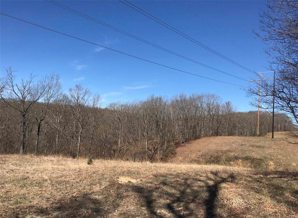 259 State Hwy Ee - Photo 1