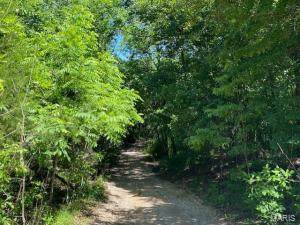 1540 Audrain Rd 343 - Photo 1