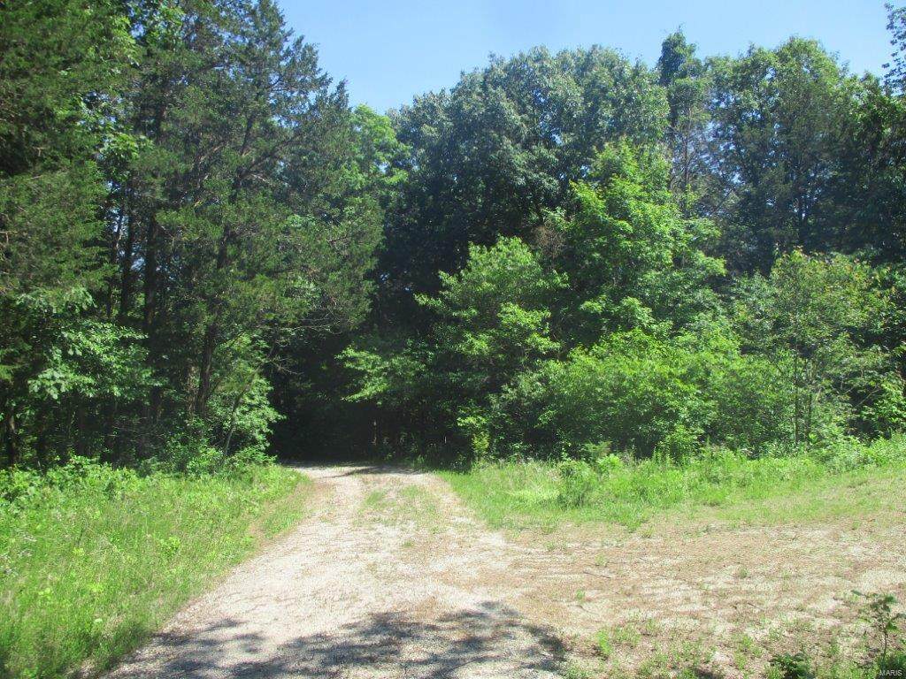 15 Jentzch Lane - Photo 1