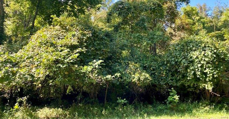 1835 Kehrs Mill Road - Photo 1