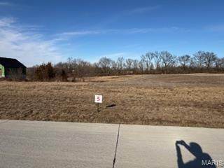 1017 Quail Grove Circle (Lot 5) - Photo 1