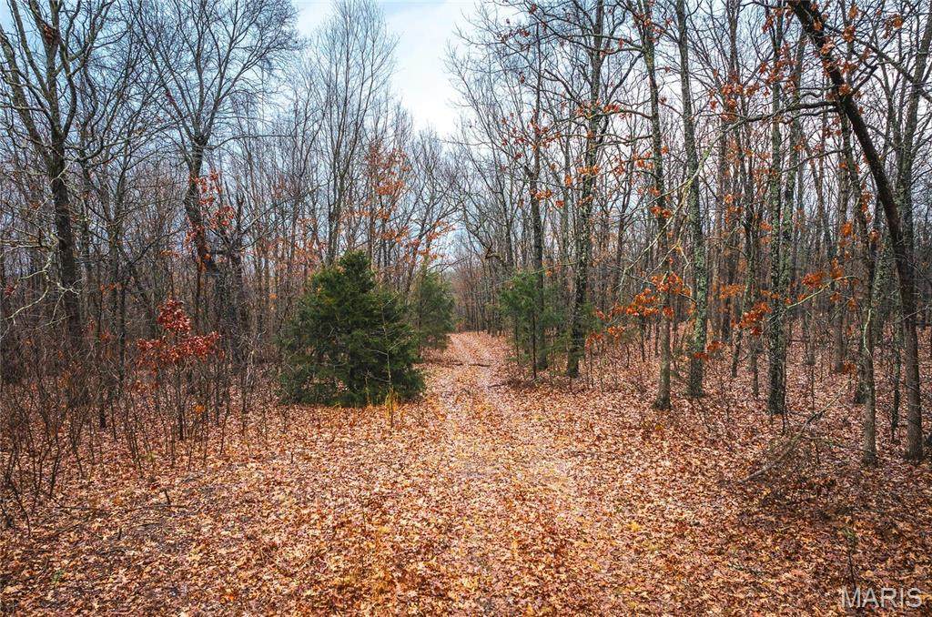 0 Christy Mine Road - Photo 1