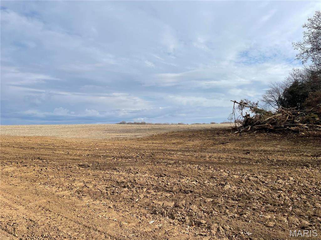 5 Lone Cedar Trail - Photo 1