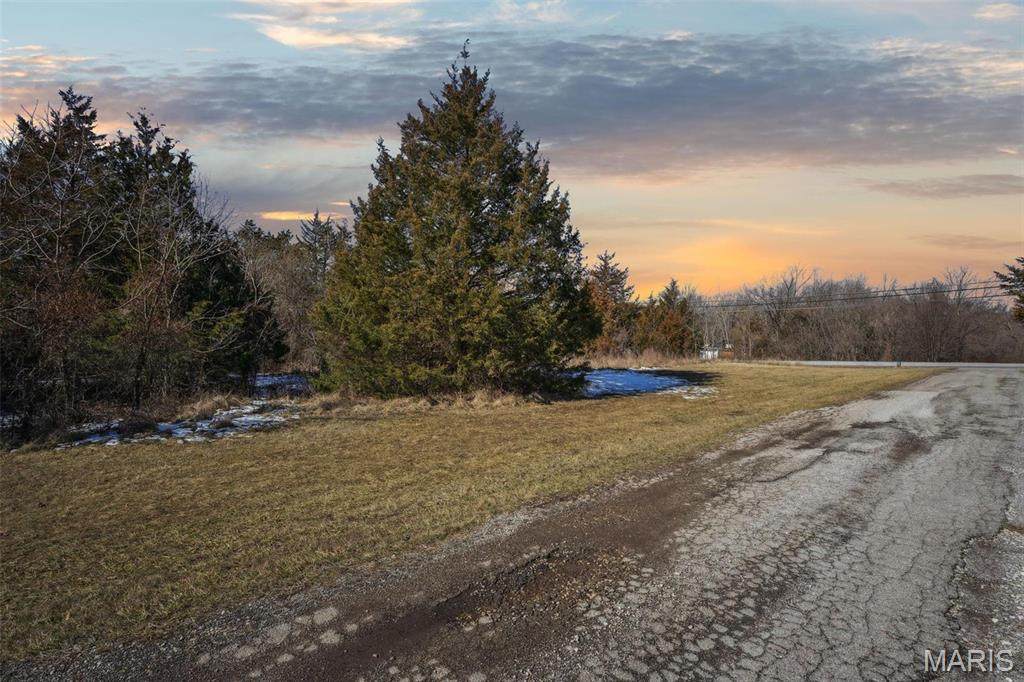 0 Wooded Acres Pt Lot 19 - Photo 1