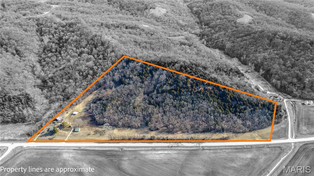 14912 State Hwy 96 - Photo 1