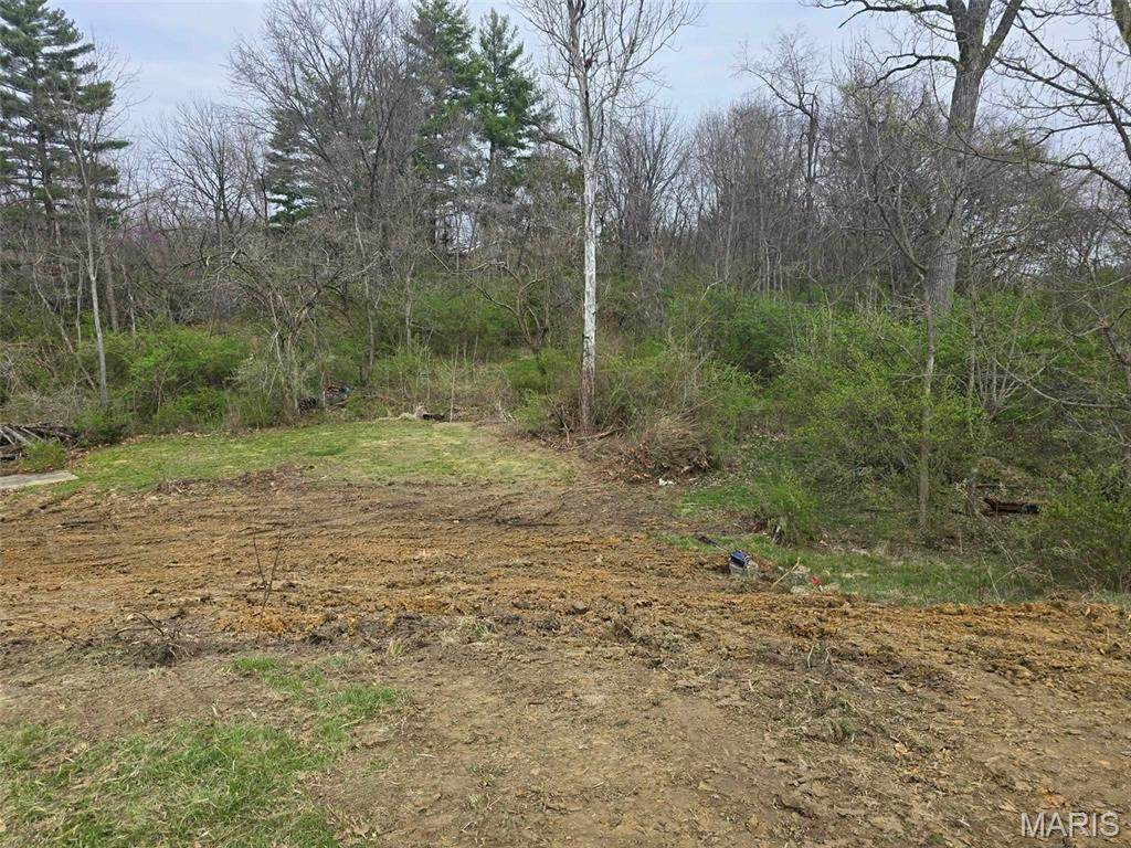 3943 Torch Club Road - Photo 1