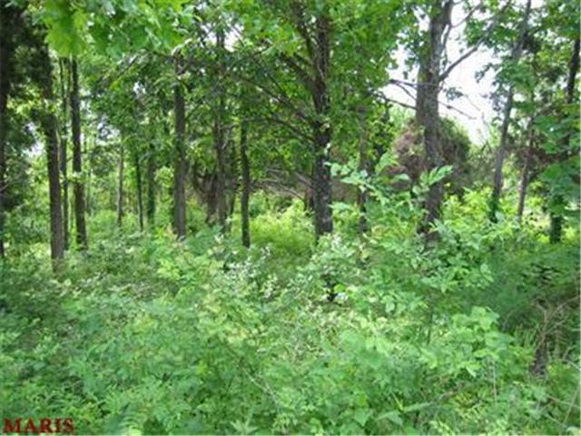 0 Klondike Road - Photo 1