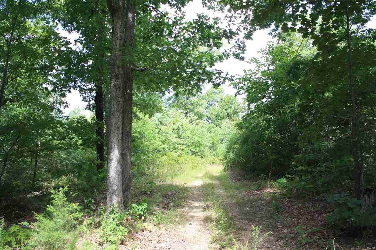 0 County Road 352 - Photo 1