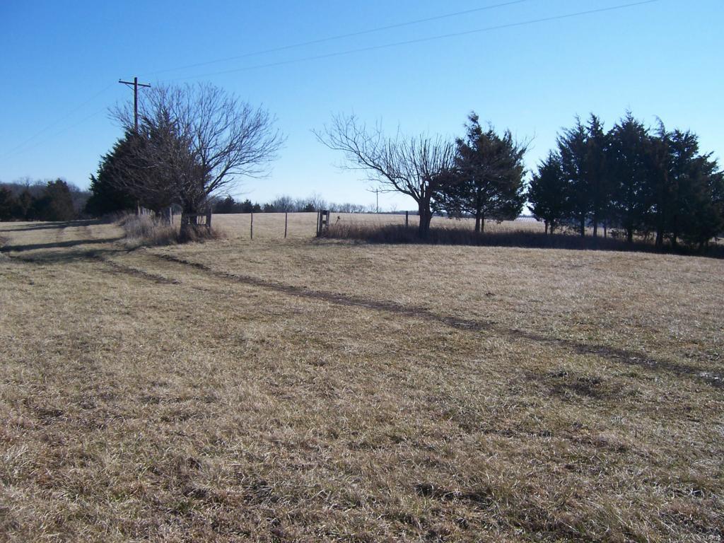 5327 Liberty School Road - Photo 1