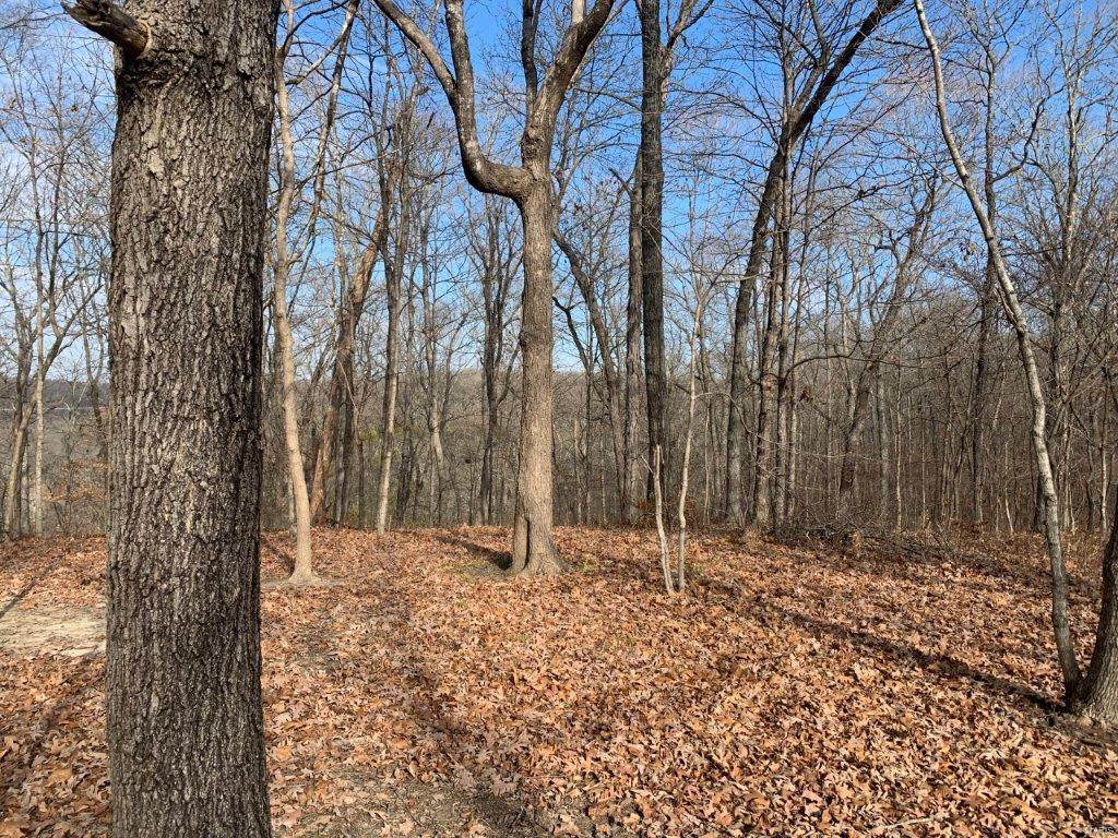 0 Turkey Ridge Drive - Photo 1