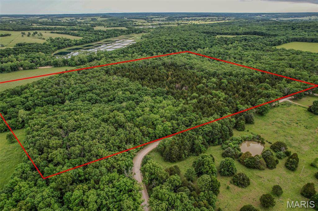 TBD Shepherd - Photo 1