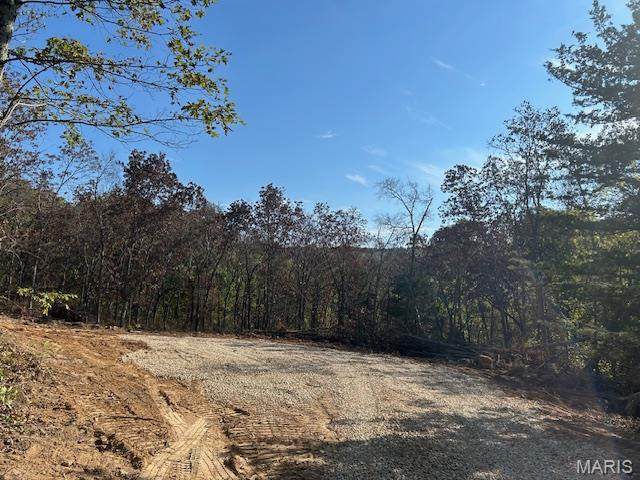 615 Lori Lane - Photo 1