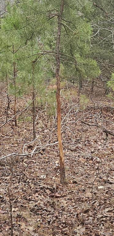 0 County Road 924 - Photo 1