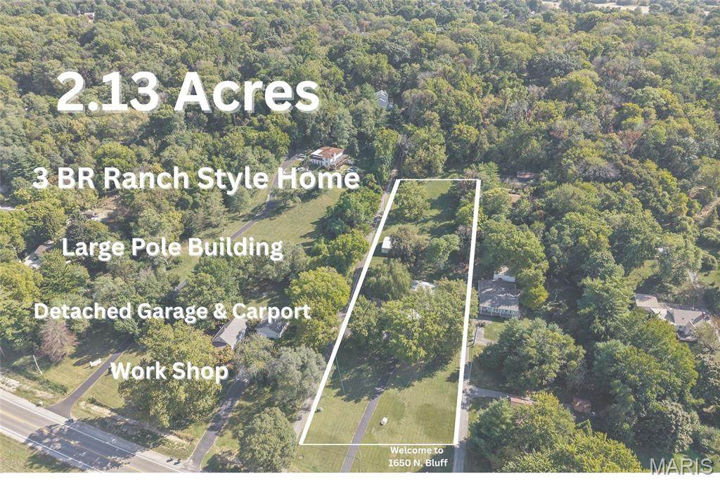 1650 Bluff Road - Photo 1