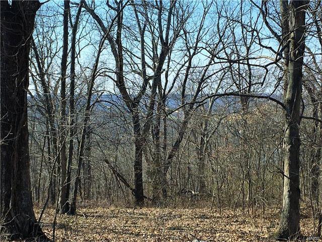 0 Boone Woods Trail - Photo 1