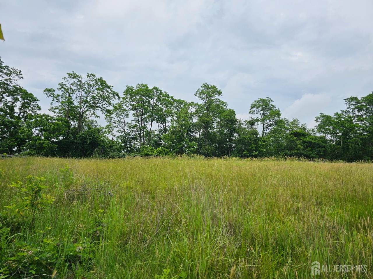 45 Hill Road - Photo 1