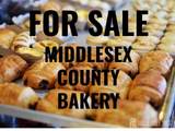 0 Middlesex County Bakery Avenue - Photo 1