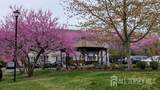326 Sloan Court - Photo 37