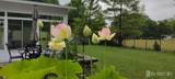 117 Providence Boulevard - Photo 28