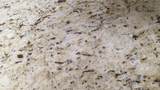 8407 8407 Tamarron Drive - Photo 8