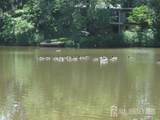 45 Lakeside Drive - Photo 2