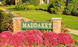 22 Maddaket Court - Photo 19
