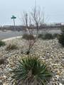 1935 Ocean Avenue - Photo 2
